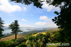 South Seas Garden view over the Otago Peninsula
