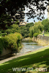 The Leith River at the University of Otago