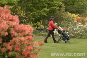 Walking in the Dunedin Botanic Garden